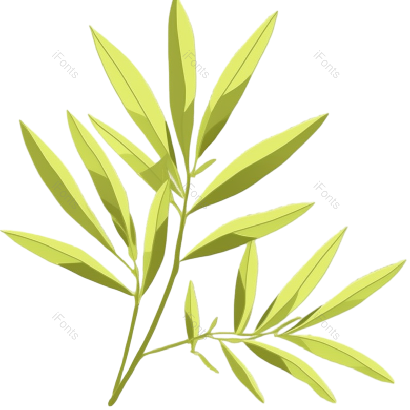 叶子图片,元素元素,竹子PNG,树叶免抠素材